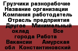 Грузчики-разнорабочие › Название организации ­ Компания-работодатель › Отрасль предприятия ­ Другое › Минимальный оклад ­ 15 000 - Все города Работа » Вакансии   . Амурская обл.,Константиновский р-н